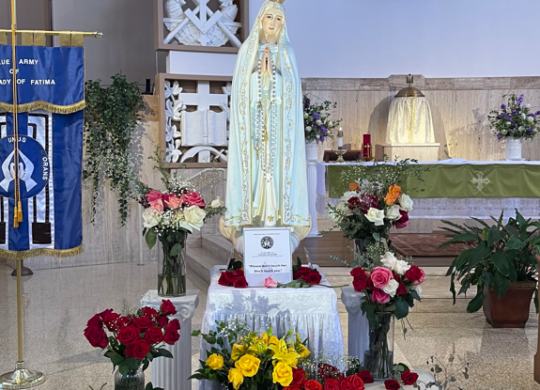 Weekly Bulletin, 27th Sunday in Ordinary Time, October 4, 2026