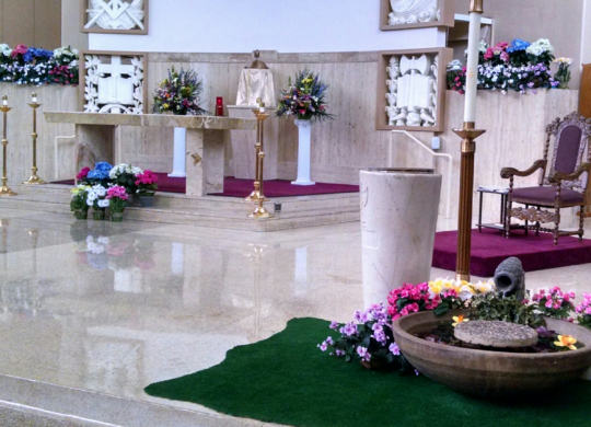 Livestream/Mass Information for the Fifth Sunday of Easter, April 28, 2024