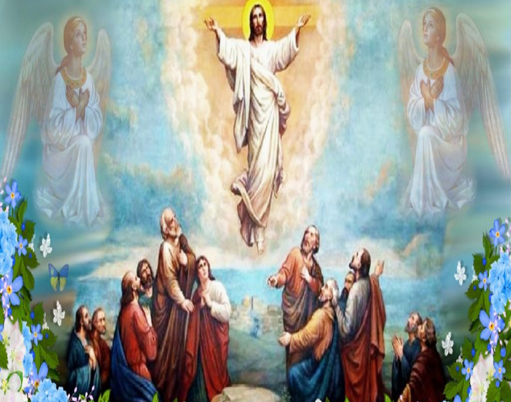 Livestream/Mass Information for the Solemnity of the Ascension of the Lord, May 17, 2026