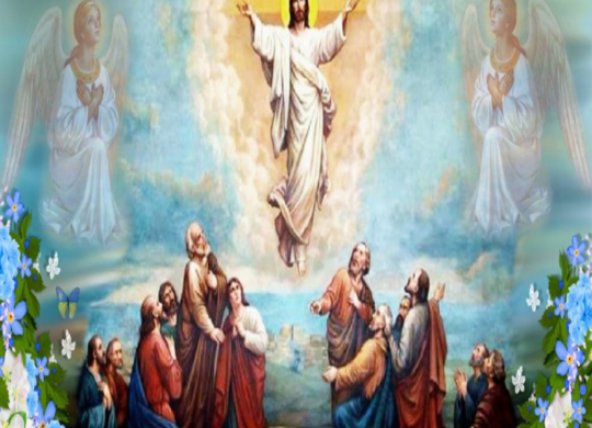 Livestream/Mass Information for the Solemnity of the Ascension of the Lord, May 17, 2026