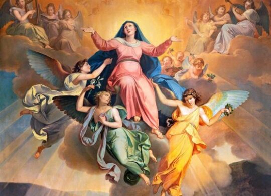 Livestream/Mass Information for the 20th Sunday in Ordinary Time, August 16, 2026