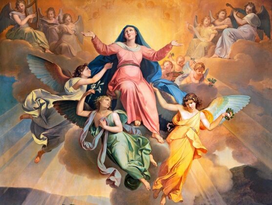 Livestream/Mass Information for the 20th Sunday in Ordinary Time, August 16, 2026