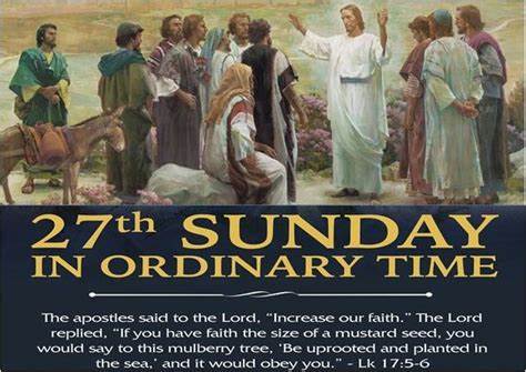 Livestream/Mass Information for the 27th Sunday in Ordinary Time, October 4, 2026