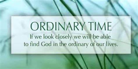 Livestream/Mass Information for the 11th Sunday in Ordinary Time, June 14, 2026