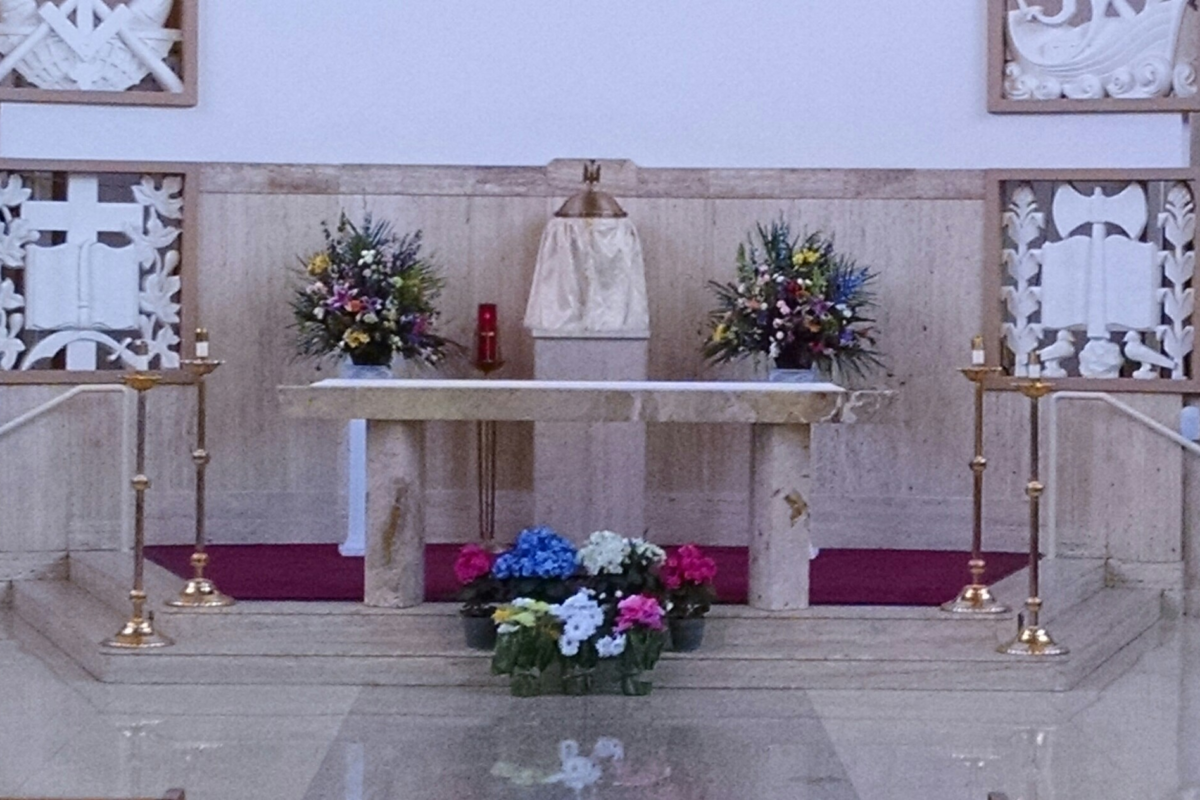 Livestream/Mass Information for the 4th Sunday of Easter, April 26, 2026