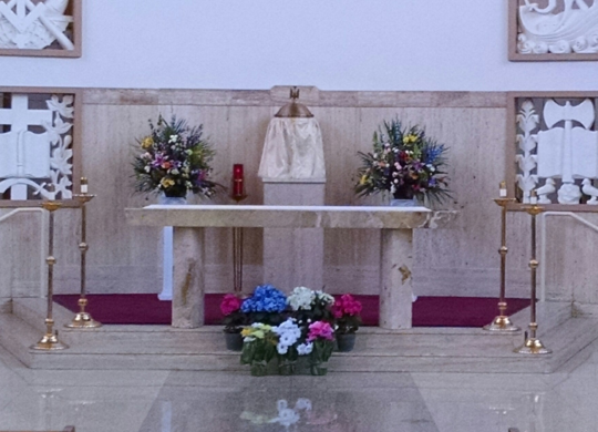 Livestream/Mass Information for the 4th Sunday of Easter, April 26, 2026