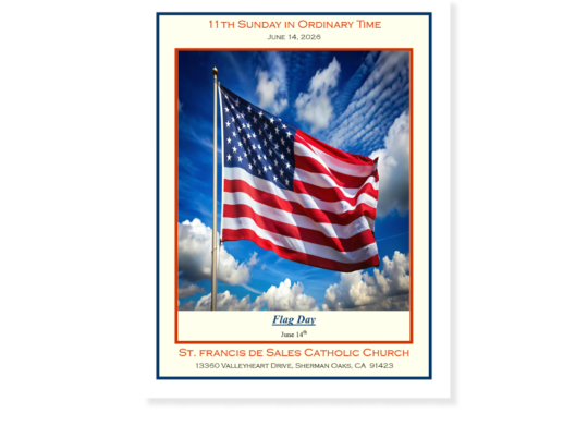 Weekly Bulletin, 11th Sunday in Ordinary Time, June 14, 2026