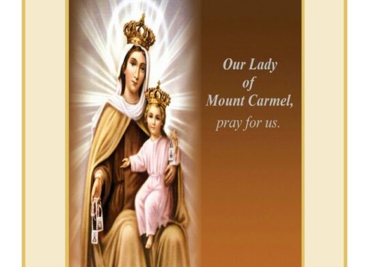 Weekly Bulletin, 15th Sunday in Ordinary Time, July 12, 2026